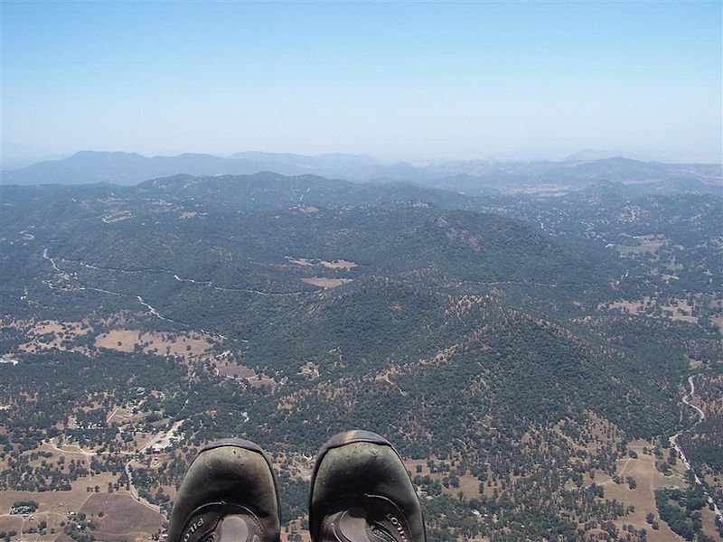 קובץ:Dunlop sequoia park jun 2008 032.jpg